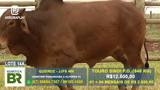 LOTE 14A