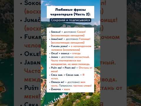 Любимые фразы черногорцев (часть 2). #сербскийязык #сербский #черногория