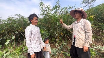 Thế Là Từ Nay Anh Sợ (Câm Điếc ) Thoát Kiếp FA | Cói Lalin