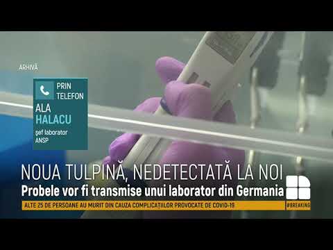 Video: Tulpina britanică de coronavirus în Rusia în 2021