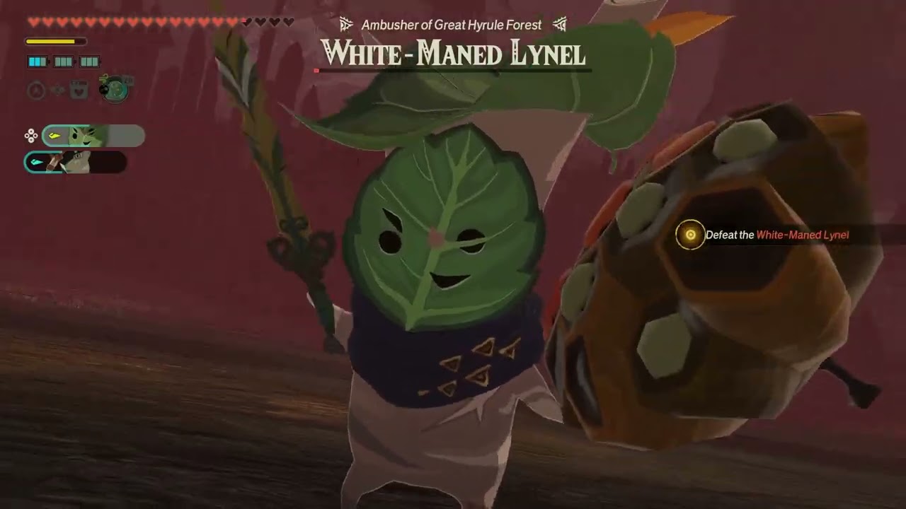 Hyrule Warriors: Age of Imprisonment, Part 15 – Chapter 5, Part 2 – Battle for Hyrule Castle