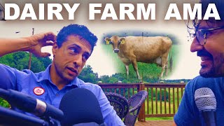 Ask dairy farmer Manjit: What about the calves? 'Clean' raw milk? Does milking hurt? (PODCAST E65) screenshot 3