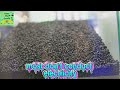 Metals and Non Metals comparison