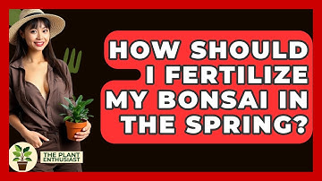 How Should I Fertilize My Bonsai In The Spring? - The Plant Enthusiast