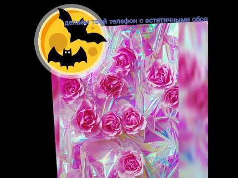 Лисичка🦊🦊 - YouTube