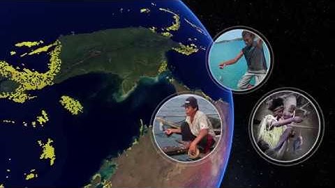 How Do Humans Depend on Coral Reefs?  | California Academy of Sciences