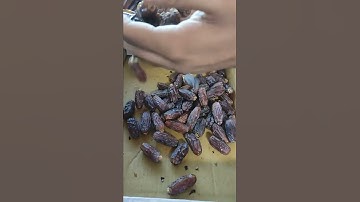 Super Quality: Buy Mabroom Dates. Wholesale Rates. Bulk Quantities Available.