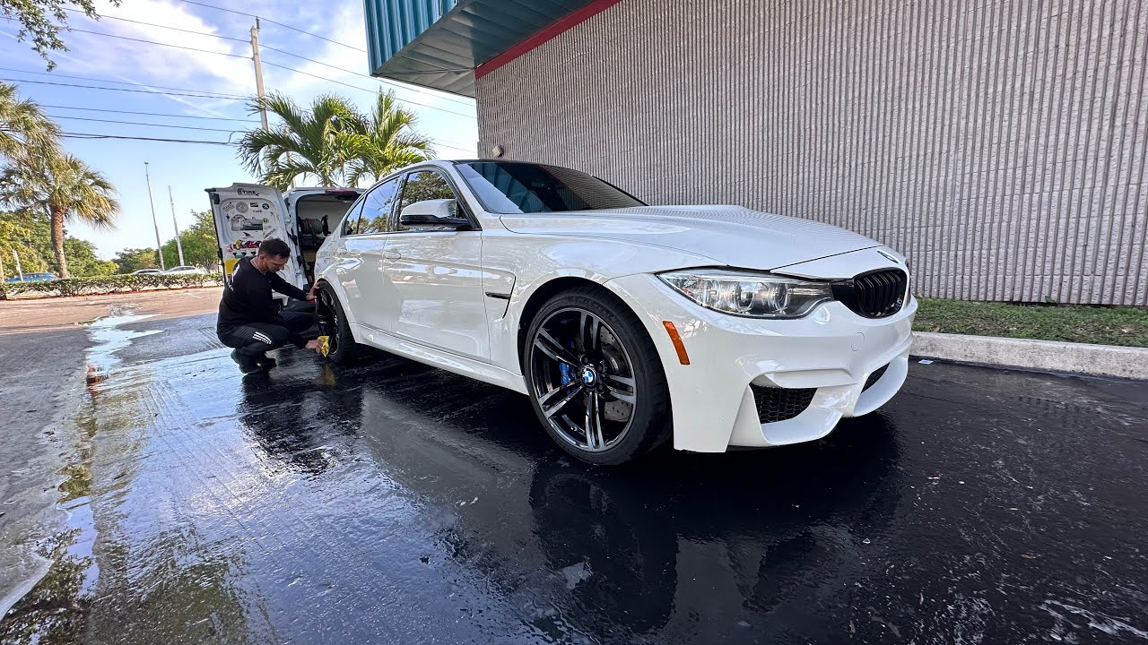 F80 M3 differential bushing replacement and input shaft seal repair.