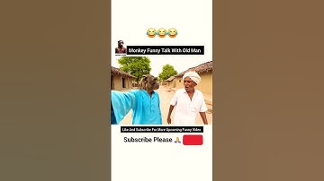 😂 Comedy Monkey Vloger 🐒 | Funny Monkey | Comedy Bandar | Monkey Vlog #Vloger #video #View #comedy