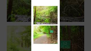 Ttartisans 25Mm F2 Nature Photography