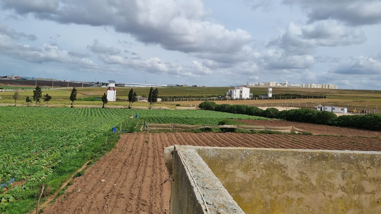 فيرمة جميلة💒💒 محفظة الاصحاب المشاريع والاستثمار مساحتها 3 هكتارات و3000 متر على طريق الرئيسي