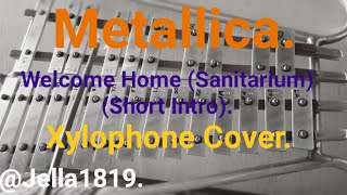 Jella1819: Welcome Home (Sanitarium) (Short Intro) (Metallica Cover) (Xylophone Cover).