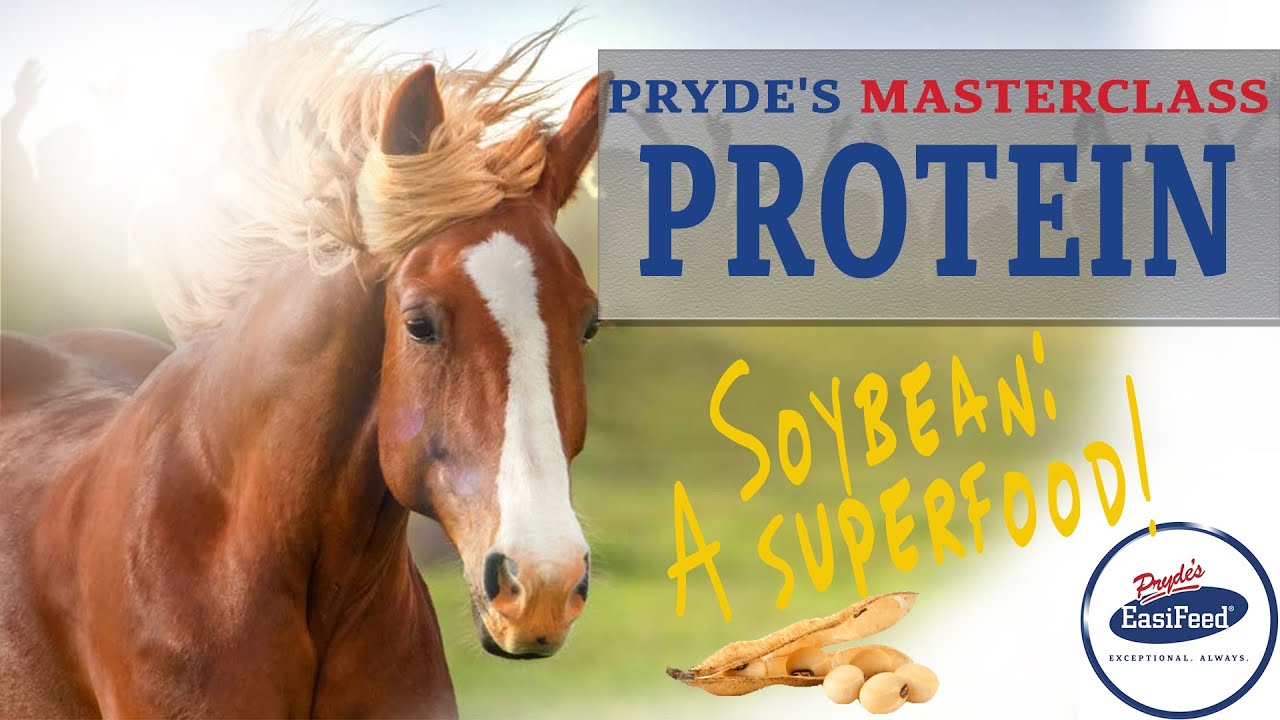 History Of Soybean YouTube