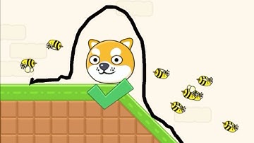 Save The Doge Speedrun Gameplay Level 11