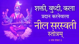 Neel Saraswati Stotram | नील सरस्वती स्तोत्रम् | बुध्दी शक्ती कला प्रदान करनेवाला स्तोत्र #saraswati