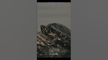 Charles Darwin 12 Different Information | Surprising Facts and Lesser Known Details | The Theory