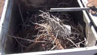 Building the ultimate Gasifier wood stove part 1