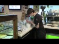 커피숍에서 투표하는 러시아 대통령선거?