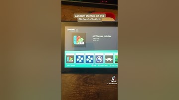 Custom themes on the Nintendo Switch #nintendo #gaming #nintendoswitch #asmr #mod #homebrew