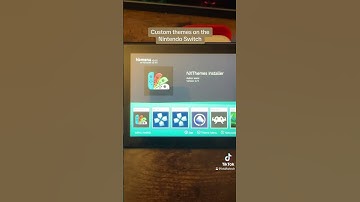 Custom themes on the Nintendo Switch #nintendo #gaming #nintendoswitch #asmr #mod #homebrew