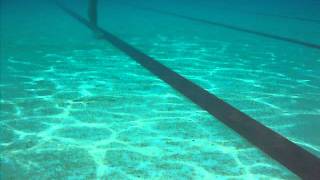 DSCF1181.AVI