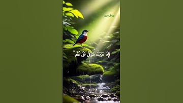 #سورة#آل_عمران #صلاح_بو_خاطر #صوت_جميل #قرآن #كريم #تلاوة_خاشعة #ارح_سمعك