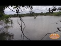 CACHOEIRA E O BERÇÁRIOS DOS TAMATIÃOS - VIDEO II