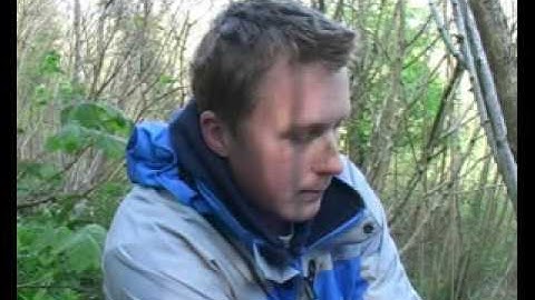 Surveying for Dormice at Slapton Ley NNR