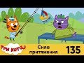 Три кота | Серия 135 | Сила притяжения