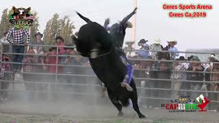 Rancho El Capricho Y Sus Toros Caprichosos!!El Yaki Y Su Banda En Ceres Sports Arena 2019