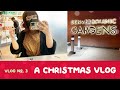 Denver Blossoms of Light, New Hair, and Christmas Markets | Christmas Vlog