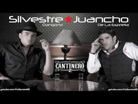 Silvestre Dangond - Has Cambiado Mi Vida  [Cantinero] - Vallenato 2010*