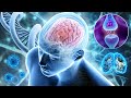 432Hz - Alpha Waves Heal The Whole Body and Spirit, Emotional, Physical - Improve Your Memory