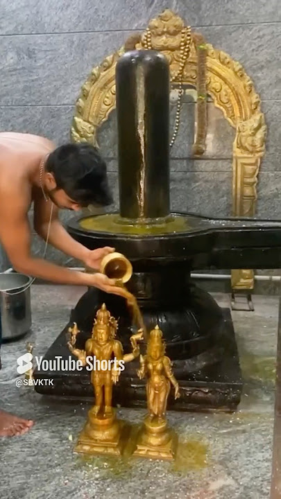 Sani Pradosham(11-01-2025)🙏🏽#lordshiva #sivan_whatsapp_status_tamil #lordshivatemple#pradosam