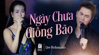 Ngày Chưa Giông Bão - Mai Tiến Dũng & Võ Hạ Trâm | Live at Mây Lang Thang