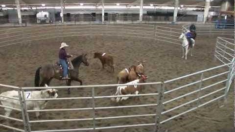 Ken McNabb Discovering The Horseman Within Ranch Sorting Episode 3 of 3