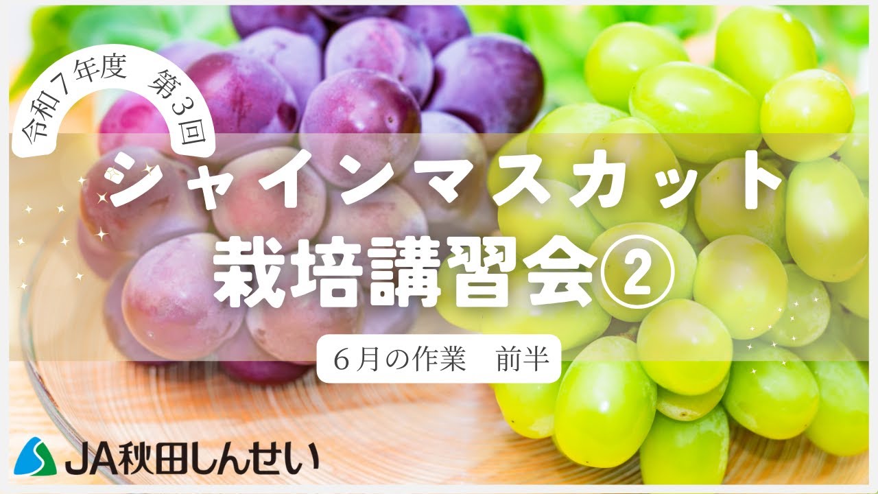 6月の作業 前半】第3回シャインマスカット栽培講習会②【令和7年度