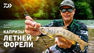 видео: Капризы летней форели x Алексей Шанин картинка: Капризы летней форели x Алексей Шанин