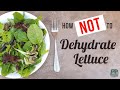 How to Dehydrate Lettuce - when it all goes wrong