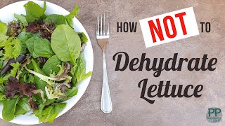 How to Dehydrate Lettuce  when it all goes wrong
