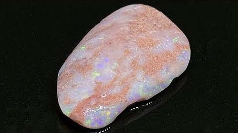 Razzling Australian Lightning Ridge Rough Uncut Opalized Fossil Clam Shell