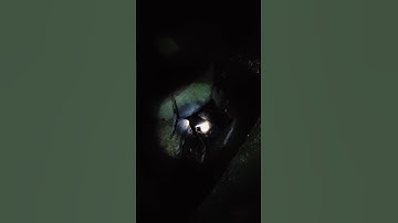 Hang 3 tần huyền bí ở núi cấm ích người dám xuống hang #tytuot