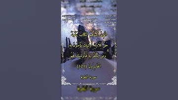الذين آتيناهم الكتاب يتلونه حق تلاوته #سورة_البقرة #الشيخ_بدر_التركي #أحمد_طالب