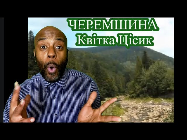 ЧЕРЕМШИНА Квітка Цісик | Uncle Momo Reaction class=