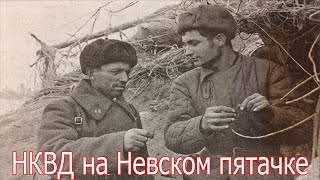 Стал седым после этих боёв .НКВД на «Невском пятачке». Военная история Великой Отечественной Войны