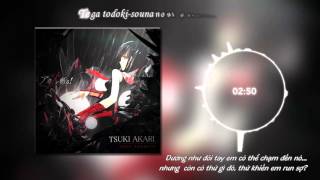vietsub  Kara Tsuki Akari  Sora Amamiya  Akame Ga Kill Ost
