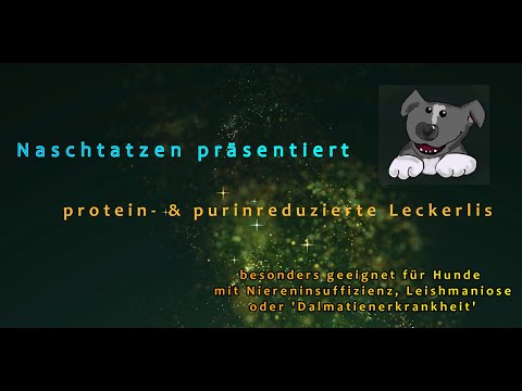 Video: Wie man einen männlichen Betta ein Bubble Nest bauen lässt