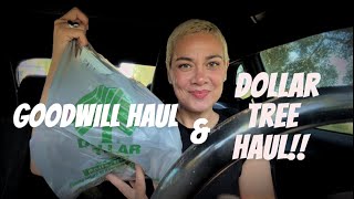 🦋New Small Dollar Tree Haul & Goodwill Bins Haul🦋5/14/26