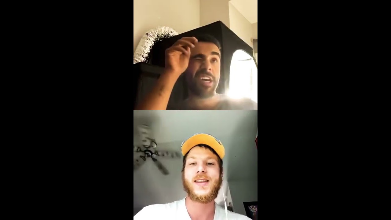 Talking with Dr.leaf15 on Instagram live for the Michicannabis Podcast