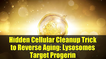 Hidden Cellular Cleanup Trick to Reverse Aging: Lysosomes Target Progerin